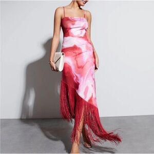 VICI Red and Pink Fringe Dress